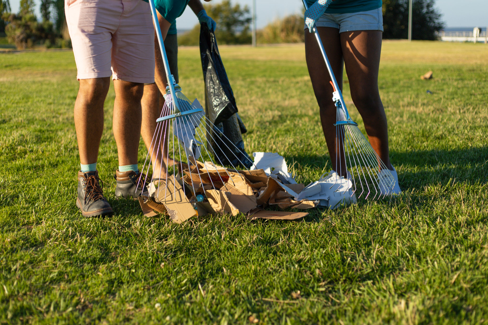 Cleaning city lawn from paper rubbish. Volunteers or workers working with rakes and removing pieces of carton boxes from grass. Outdoor litter removal concept